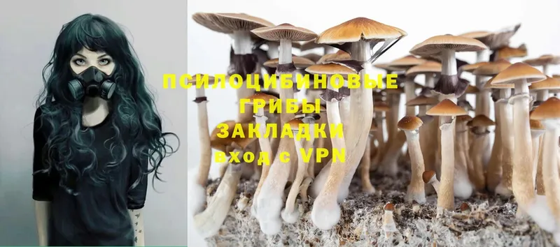 мориарти какой сайт  MEGA как войти  Ленинск  Псилоцибиновые грибы MAGIC MUSHROOMS 